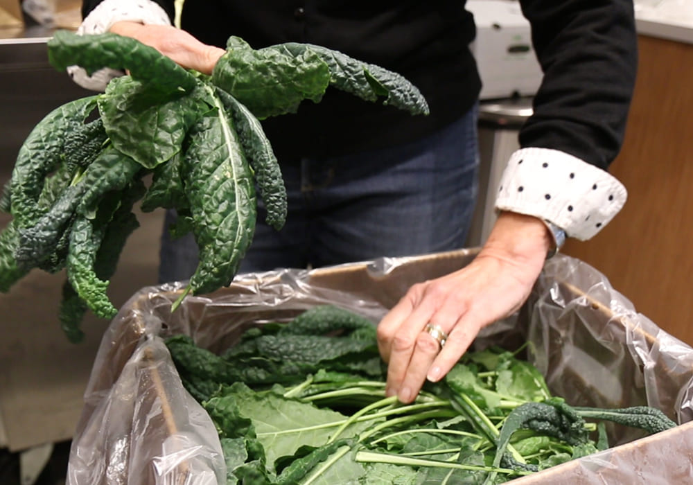 packing (flowers, green for salads)